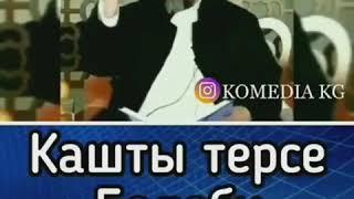 Каш терсе болобу?