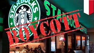 Boycott Starbucks: LGBT stances enrages conservatives in Indonesia - TomoNews