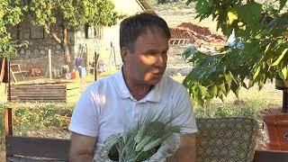 MUĞLA FETHİYE VETERİNER HEKİM NECATİ OCAK
