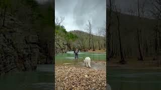 Vanlife & Fly Fishing 