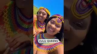 Zulu Queens