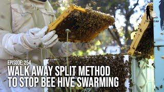 Splitting Beehives using the Walk Away Split Method to Stop Bee Hive Swarming  | The Bush Bee Man