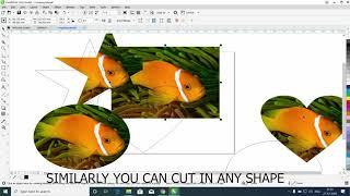 How To Crop Image in Any Shape | Coreldraw 2021