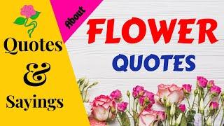 FLOWER QUOTES & SAYINGS