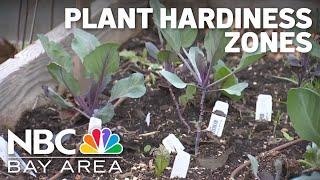 Understanding plant hardiness zones