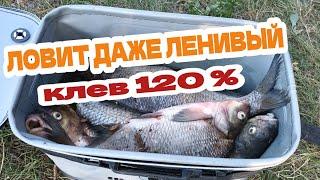 Резаный опарыш в прикормку на леща. Что дает белковая масса ?