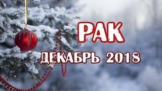 Рак. Гороскоп на декабрь 2018 года на картах таро Мистических кошек.