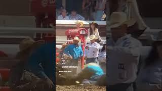 Deaths Pile up at the Calgary Stampede #calgarystampeders #calgarystampede #animals #animalactivism