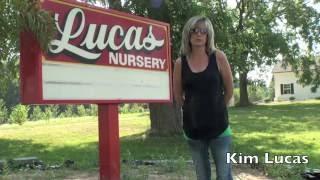 Lucas Nursery Tree Farm - Boardman, Michigan