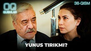 YUNUS TIRIKMI? "Oq qushlar" 36-qism