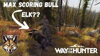 INSANE ELK HUNT! And Herd Management! | Way of the Hunter