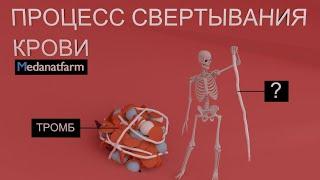 Механизм свертывания крови | 13 факторов | Medanatfarm