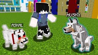 ALL ANIMALS Became REALISTIC in Minecraft | OMO City