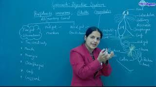 CLASS -11TH | part-1  'BIOLOGY' BY SONIA MAAM... COCKROACH-DIGESTIVE  SYSTEM "DIGI DRISHYAM ACADEMY"