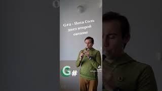 9) G# - Нота Соль диез