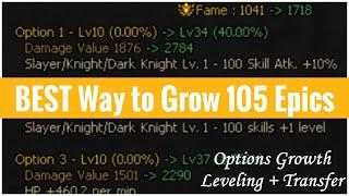 OPTION GROWTH 100% EFFICIENT FEEDING + Transfers & Inherits Step-By-Step | Dungeon Fighter Online