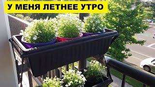 У МЕНЯ ВОСКРЕСНОЕ ЛЕТНЕЕ УТРО..А УВАС?