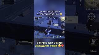 Как думаете, это баг?  Или так и должно быть? | #metroroyale #pubgmobile