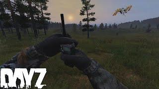 DayZ - Дозвонился