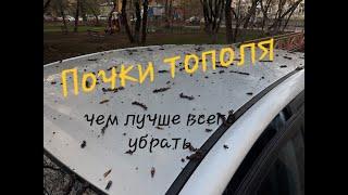 Почки тополя, Чем отмыть и не испортить л.к.п.