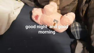 good night and good morning with the pig