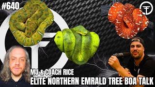 How To Successfully Breed & Produce Northern Emerald Tree Boas | Elite Trap Talk With MJ