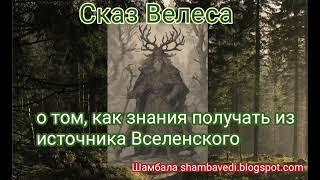 Cказ Велеса о том ,как знания получать из источника Вселенского - Валерия Кольцова