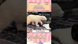 我做夢都不敢這么想啊 #震驚 #奢侈  #電費 #全球變暖 #萬萬想不到