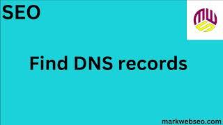 "How to Use the Find DNS Records Tool | Step-by-Step Guide"