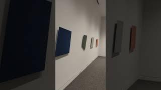 the panels of Ellsworth Kelly #newfields #ima #art