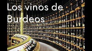 Vinos de Burdeos - Francia Episodio 1