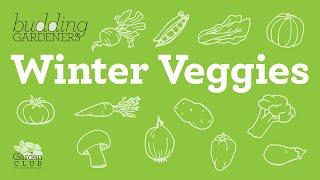 Budding Gardeners: Winter Veggies