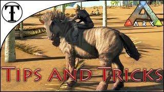 Fast Equus (Horse) Taming Guide :: ARK : Survival Evolved Tips and Tricks