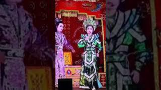Hát Bội- Nữ Tướng Loạn Trào- Đoàn Tuồng An Nhơn- NN Huỳnh Thanh & Phương Uyên- #Shorts