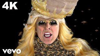 "Weird Al" Yankovic - Perform This Way (Parody of "Born This Way" by Lady Gaga) (Official 4K Video)