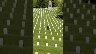 The Real Meaning of Memorial Day  (70-Second TAPS Tribute)