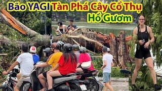 Rớt Nước Mắt Vòng Quanh Hồ Gươm Sau Bão Yagi