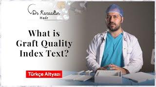 WHAT IS GRAFT QUALITY INDEX TEXT / DR KARAALTINHAIR