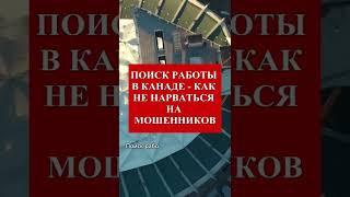 Внимание! Рабочая виза в Канаду и мошенники