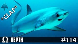 They got *CLAPPED* by the THRESHER!  | Depth Multiplayer Thresher / Mako Sharks w/Bryce