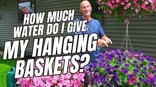 How Much Water Do I Give My Hanging Baskets? #hangingbasket #hangingbasketplant #hangingplants