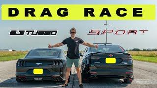 Ford Fusion Sport vs Ford Mustang 2.3l EcoBoost, I didn't expect this outcome! Drag and Roll Race.