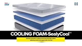 Sealy Mattress Deals AFMK