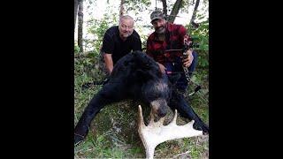 Boss Bear VS The Beast