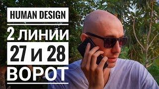 Дизайн Человека 27 и 28 ворота. 2 линии Даниил Трофимов. Human Design