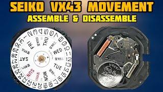 How To Service Seiko 7N43, VX33, VX43 Assemble and Disassemble Tutorial | SolimBD