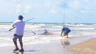 Fisherman lands DANGEROUS GIANTS Surf Fishing