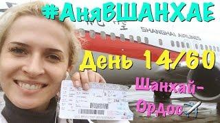 #АняВШАНХАЕ! Улетела в Монголию! День 14 из 60 | Аня Гресь VLOG | Anya Gres