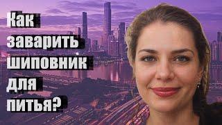 Как заварить шиповник для питья