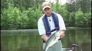 Handling and Releasing Largemouth Bass